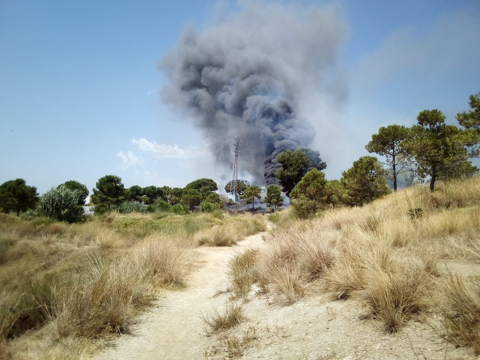 Actualització: Extingit l'incendi als horts urbans del parc de Vallmora
