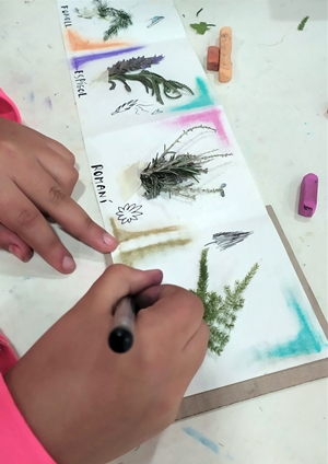 Creem un herbari personal