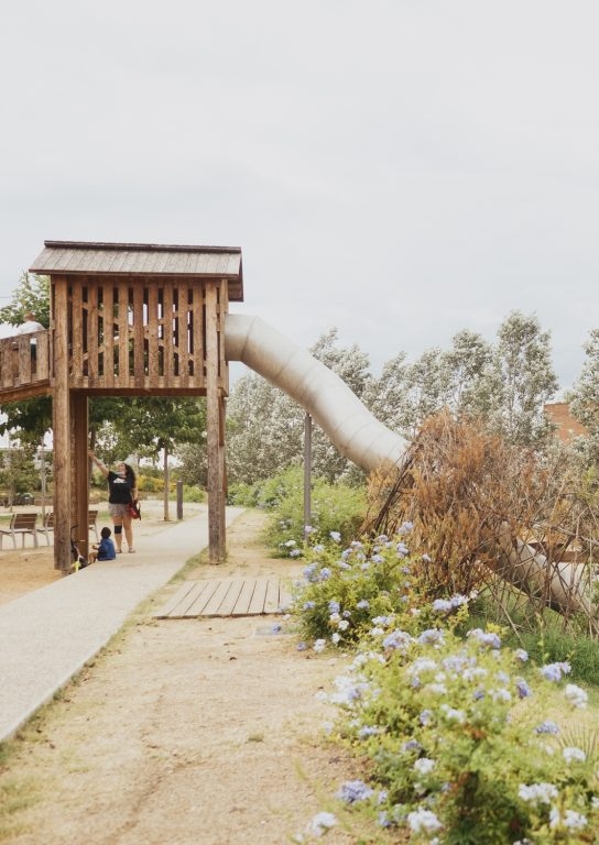 Descobrim la biodiversitat: crea la teva fitxa de camp com un autèntic biòleg