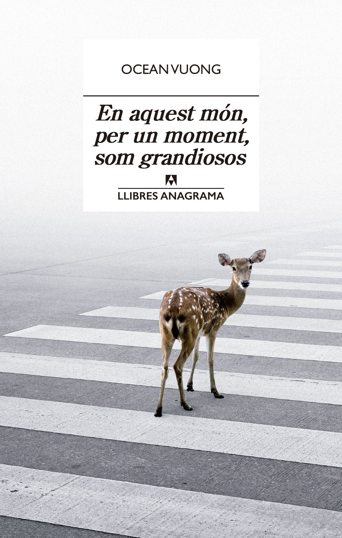 Club de lectura: 'En aquest món, per un moment, som grandiosos'