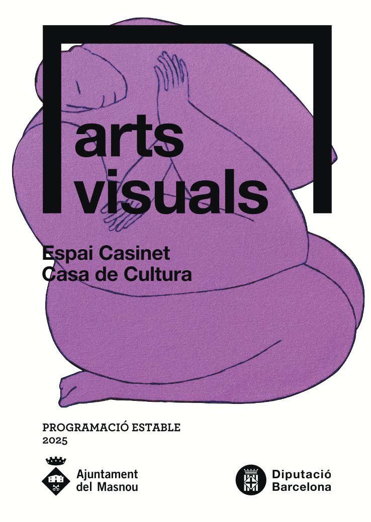 Programació 2025 d'arts visuals