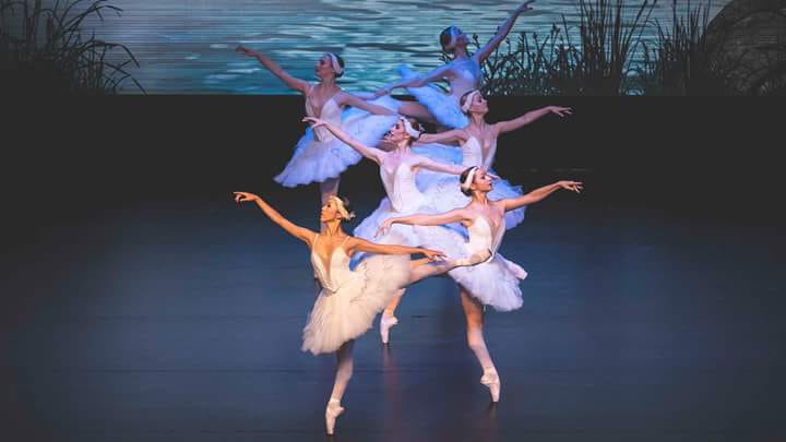 'El ballet del llac dels cignes'