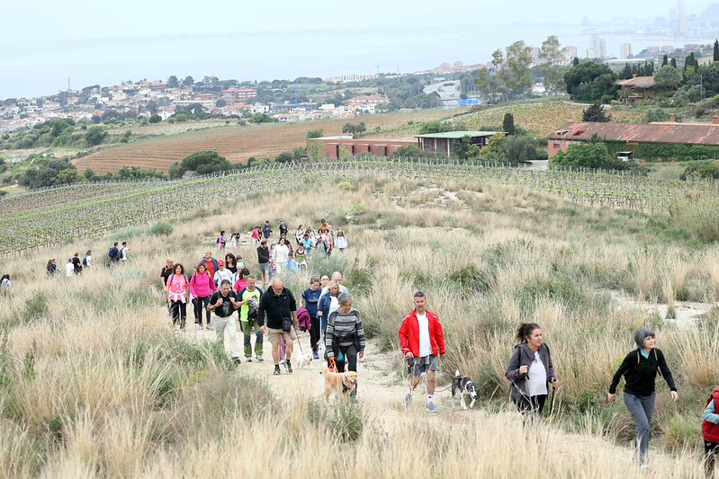 La Caminada del Tres Pobles aplega prop de 900 persones
