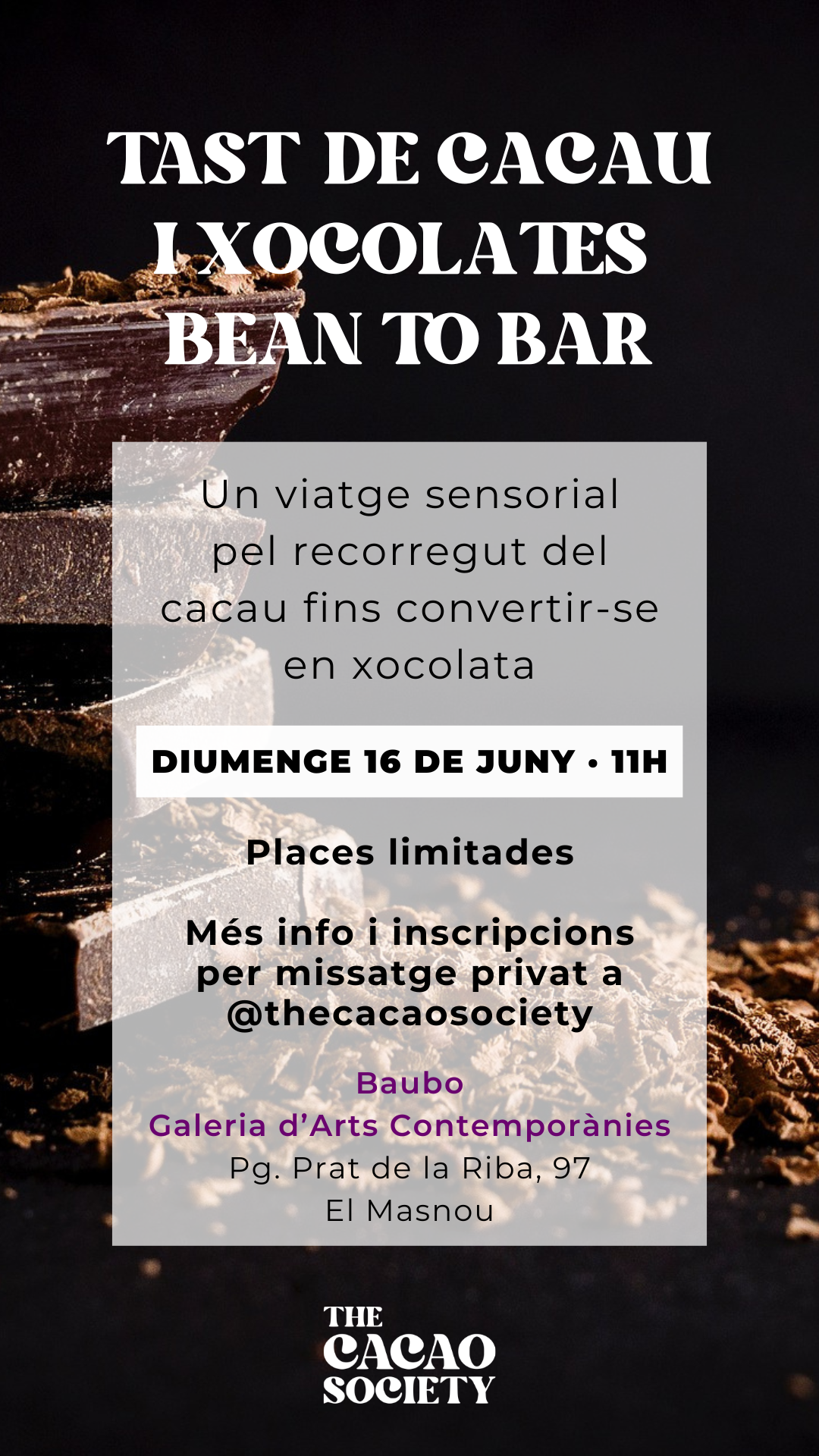 'Tast de cacau i xocolates Bean to Bar'