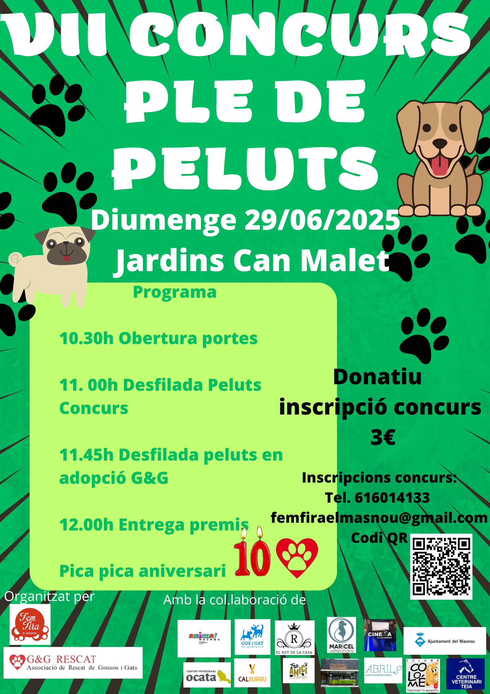 'VII PLE DE PELUTS'
