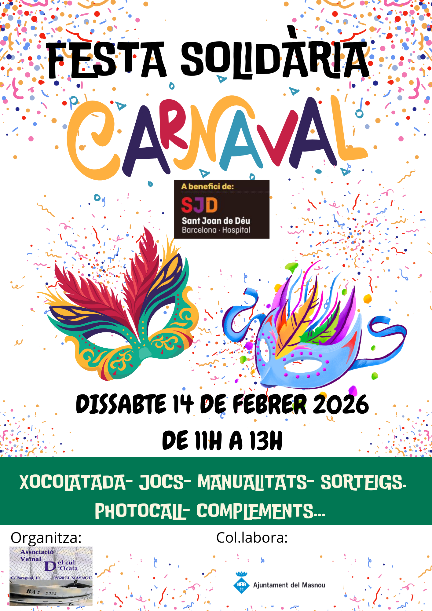 'FESTA SOLID&Agrave;RIA CARNAVAL'
