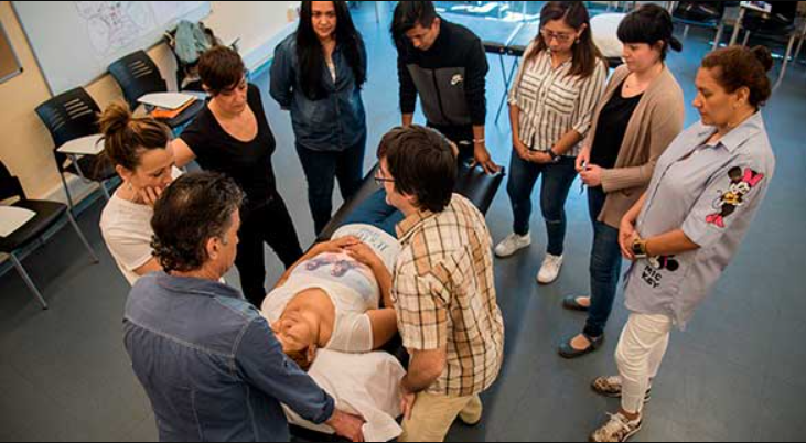 Inici de nous cursos ocupacionals al Masnou per al febrer de 2025