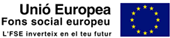Logo Fons Europeu
