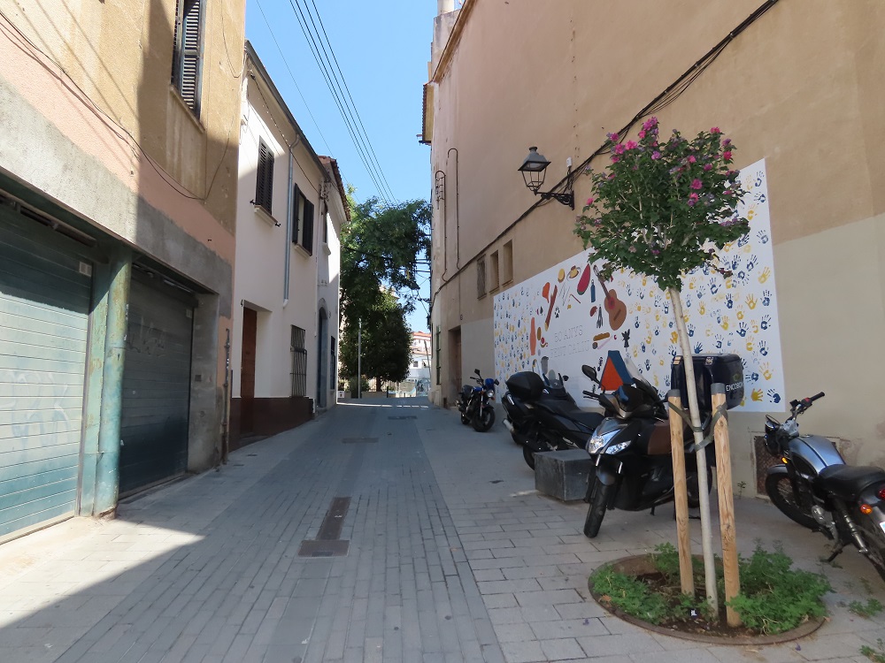 En primer terme, un dels arbres plantats en un escocell que estava buit, al carrer de Josep Llimona.