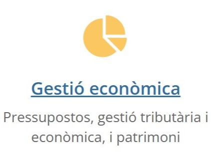 Enllaç al web de gestió econòmica