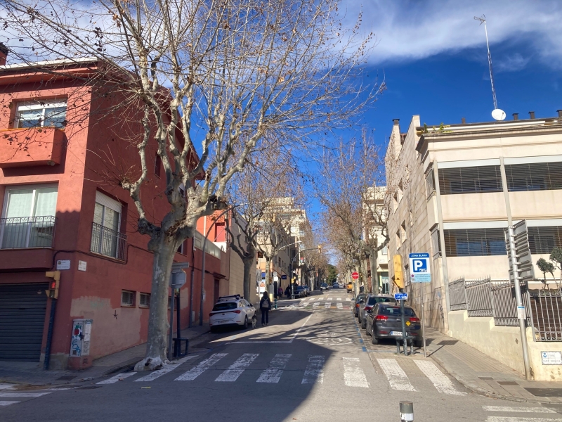 Comença la reforma del passeig de Romà Fabra